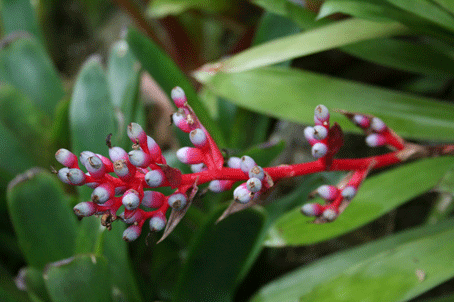 e0167771_025769.gif