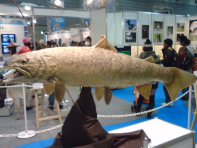 緊急のお知らせ!_a0040876_20574539.jpg