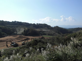 b0118097_0321627.jpg