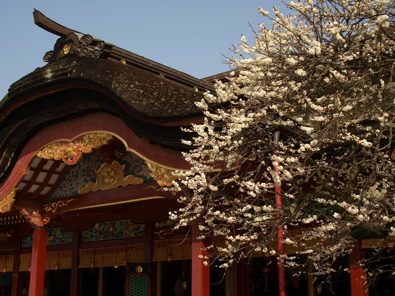 d0087407_17274689.jpg