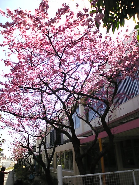 e0155208_6231751.jpg