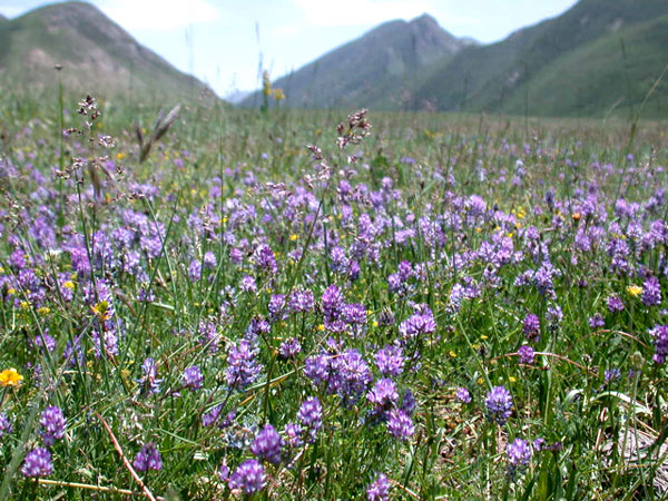 f0115214_11354699.jpg