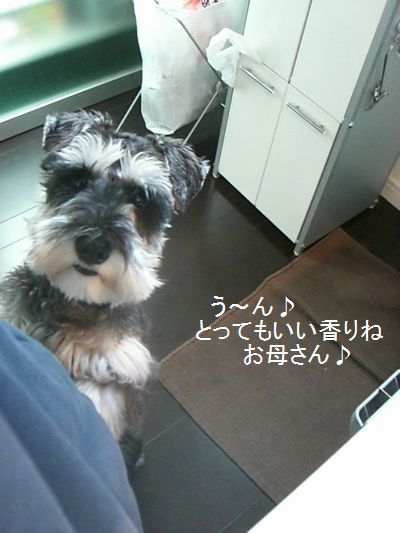 f0197317_173614100.jpg