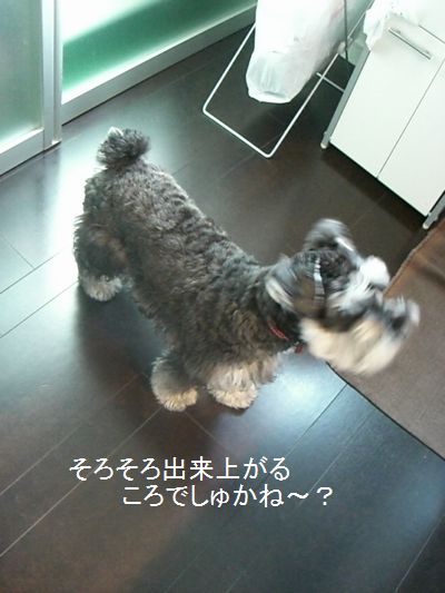 f0197317_17594158.jpg
