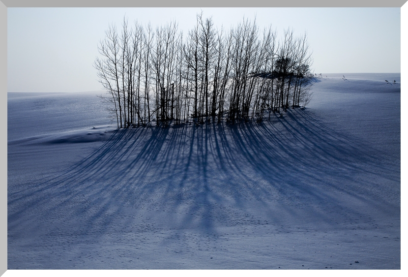 雪の降る日_c0179619_0525889.jpg