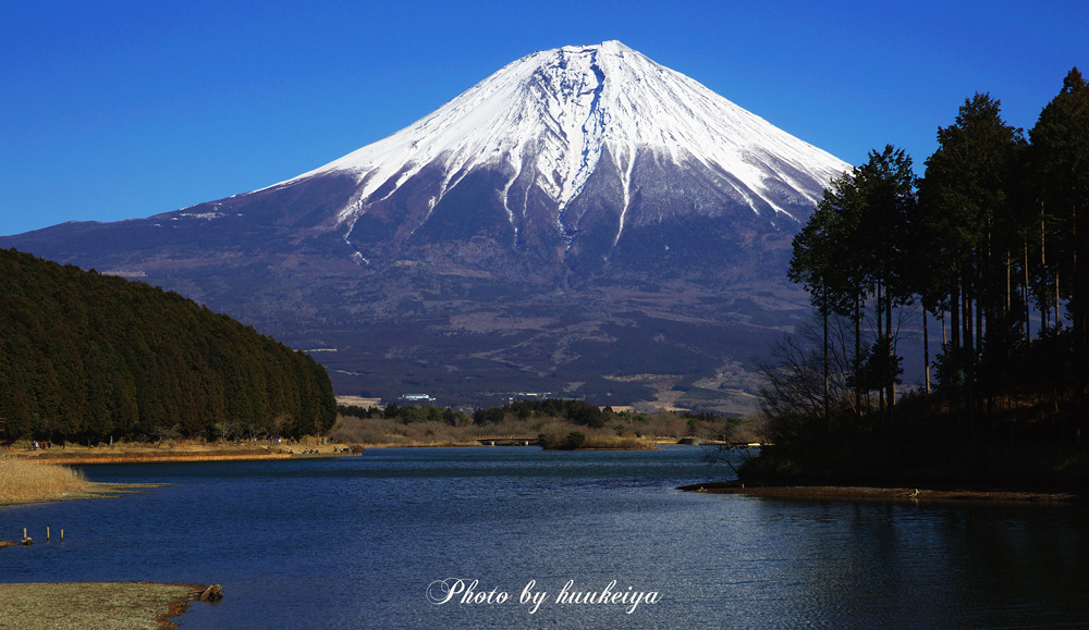 田貫湖の富士山_f0035323_7222454.jpg