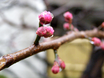 f0032329_271562.jpg