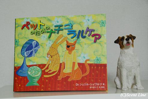 お勧めの一冊_c0099133_104495.jpg