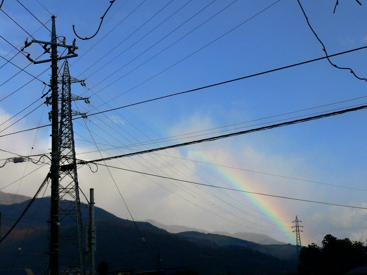 雨上がりの空に_f0057833_206733.jpg