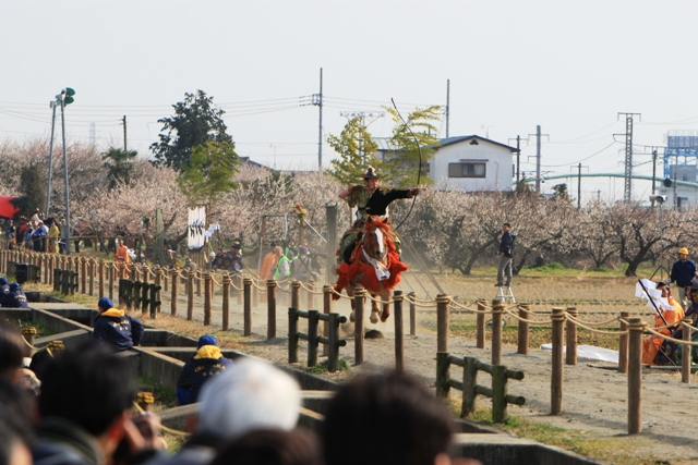 曽我の流鏑馬・・・（５４８）_c0122445_1754964.jpg