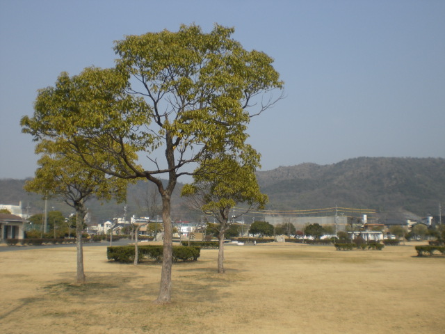 b0152548_1852277.jpg