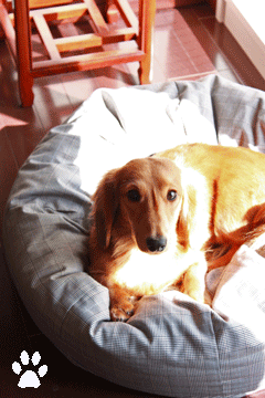b0070950_1956224.gif
