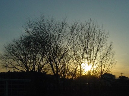 e0126350_2230295.jpg