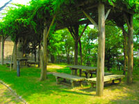 平成19年東北大学大学院医学系研究科病院管理学教室同窓会会報 より_a0119856_1557785.jpg