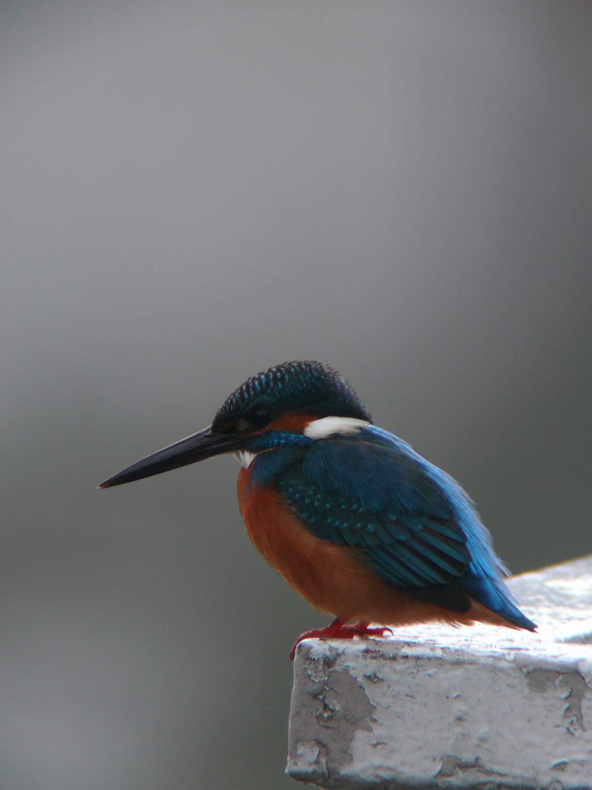 f0167258_19262179.jpg