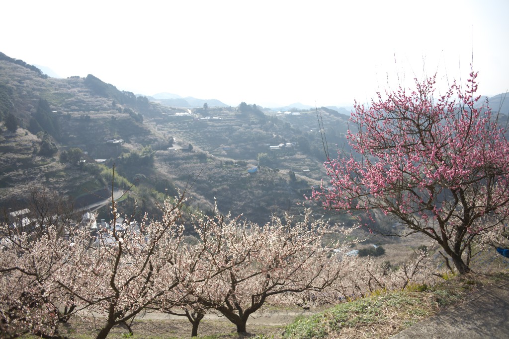 c0108863_21342927.jpg