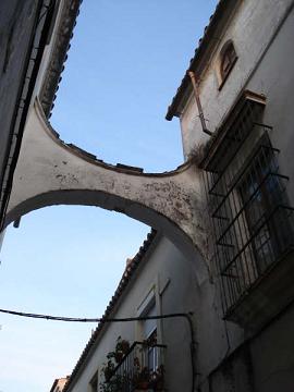 e0147072_1242421.jpg