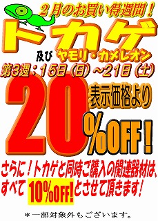 2月のお買い得週間！本日ヘビ最終！明日からの第3週はトカゲ！_e0099576_1004235.jpg