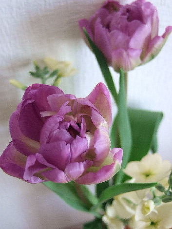 f0186976_18163820.jpg