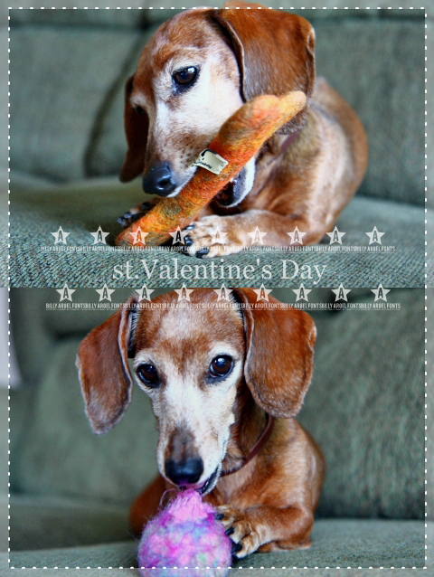 Happy Valentine\'s Day & 結果発表_f0060689_18443566.jpg