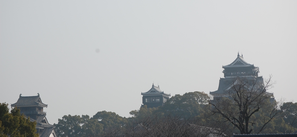 b0054391_14584839.jpg