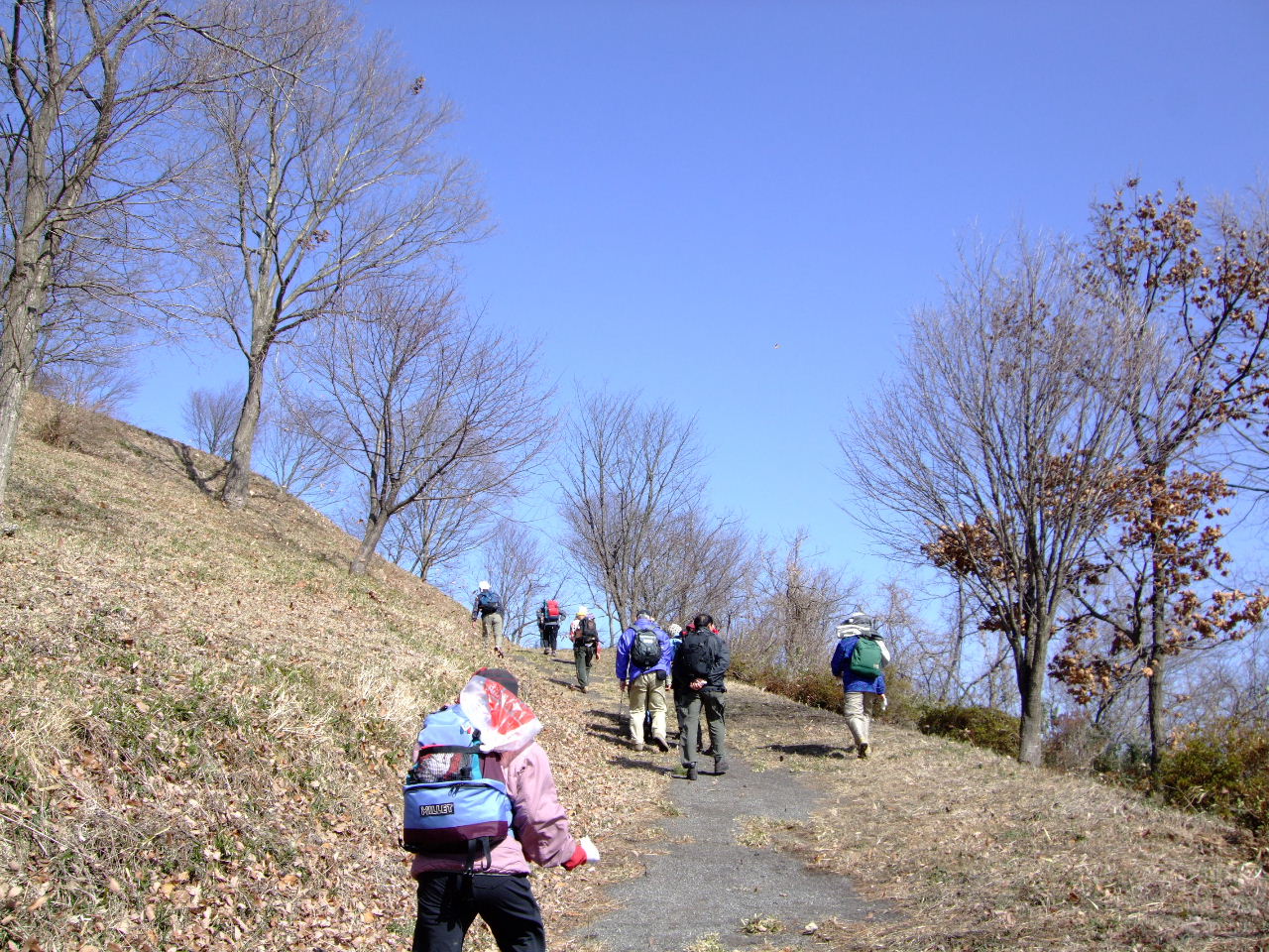 みやぎ蔵王三十六景｢友遊こみち｣（・・・小金山・手倉森山・原入山）_f0100593_1622314.jpg