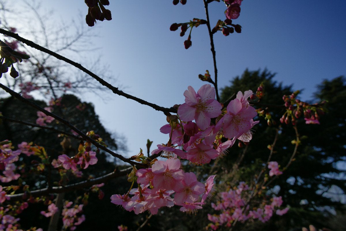 c0124795_21455650.jpg
