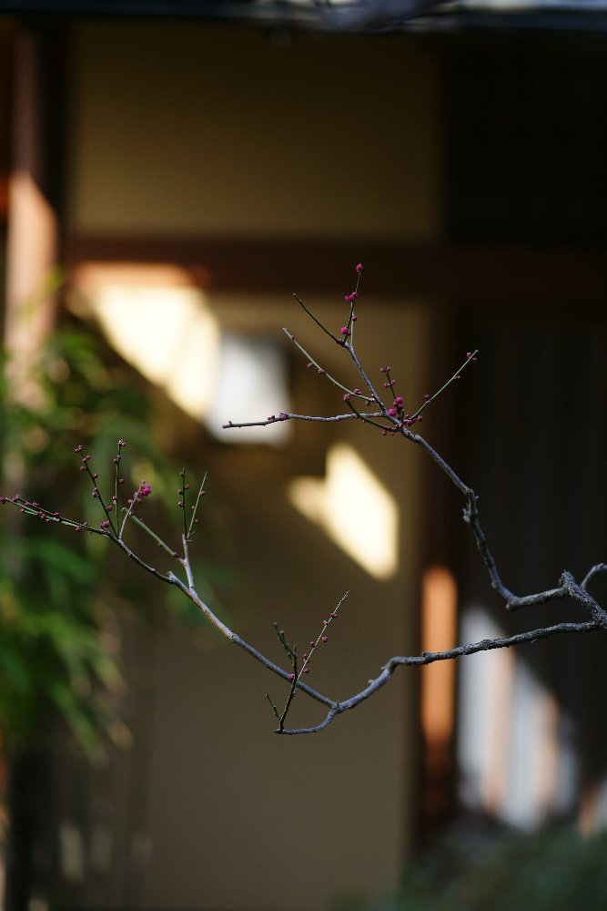 c0124795_21562279.jpg