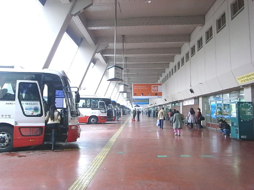 e0043700_0135311.jpg