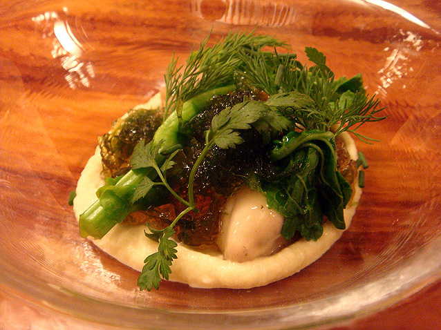 DAIGAKU @ コントワーの夜_b0118001_21363471.jpg