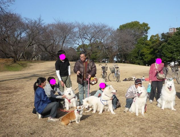 所沢航空公園へ　　　2月14日　[土]_e0018604_1625576.jpg