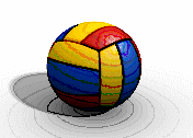 敷玉バレー大会_d0026905_22141016.gif