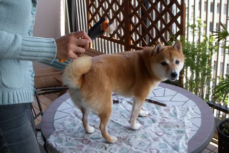 f0004309_20202771.jpg