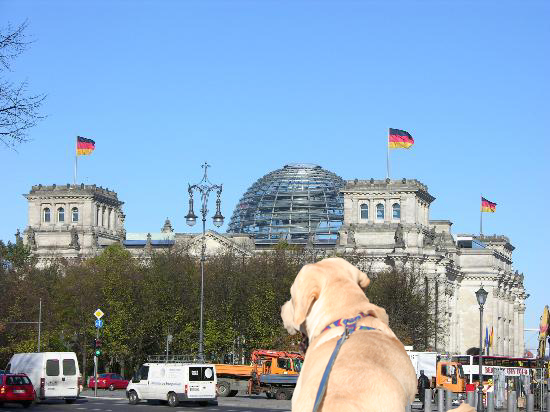 f0191413_20234578.jpg