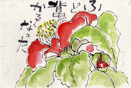 椿の花 里のままが描く絵手紙