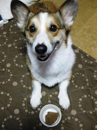 バレンタインデー♪_f0155118_825440.jpg