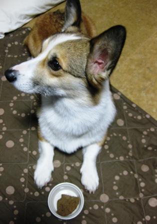 バレンタインデー♪_f0155118_834710.jpg