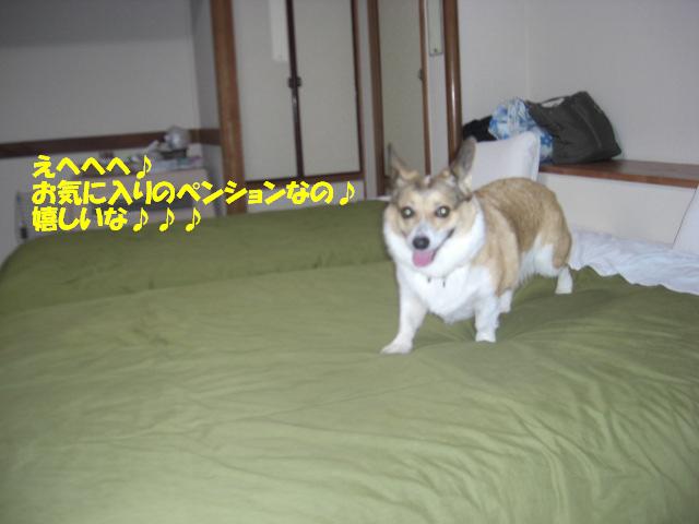f0182121_8431362.jpg