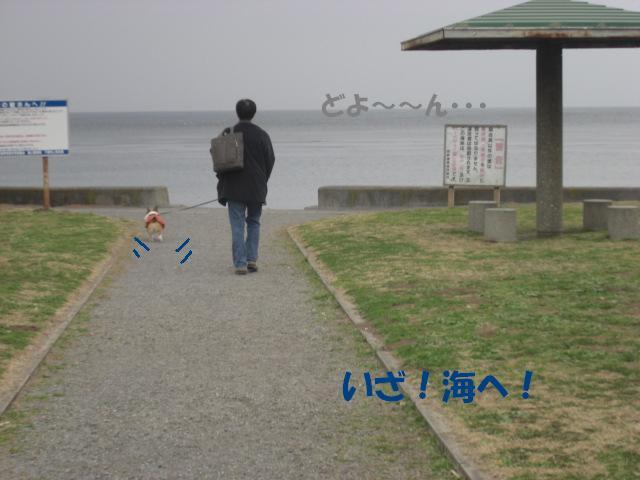 f0182121_846417.jpg