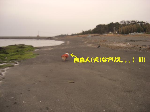 f0182121_8471516.jpg