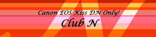 「Club N」通信　Vol.1_b0137325_21174231.gif