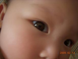 f0129931_12314110.jpg