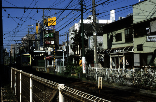 spring color_d0108333_23453466.jpg