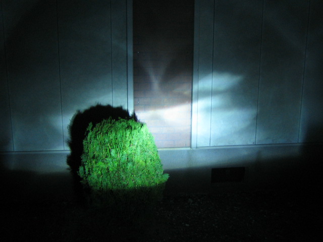 c0108934_04194.jpg
