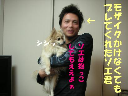 素敵な犬年齢早見表＆バレンタインＤａｙの巻_c0179136_3554933.jpg