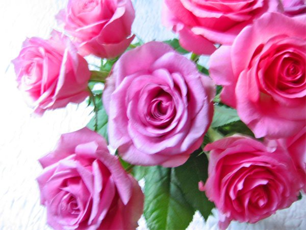 a0095337_1416298.jpg