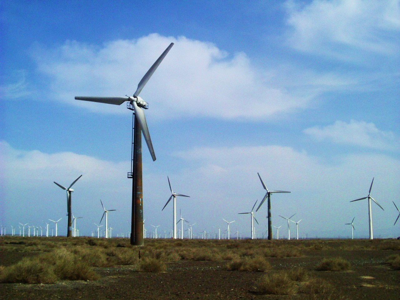 c0164345_13273.jpg