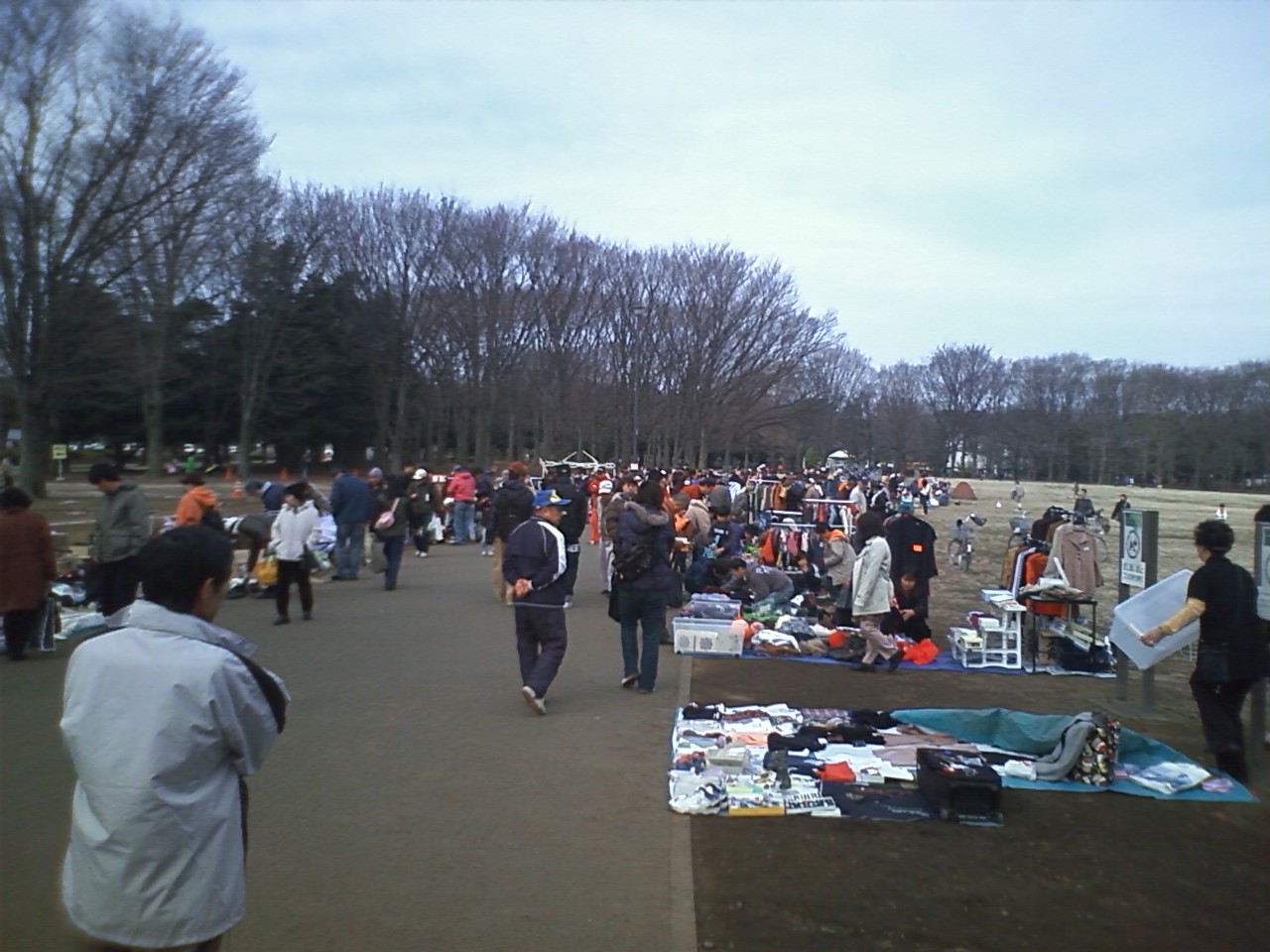 02月15日 小金井公園フリマ_c0098349_929125.jpg