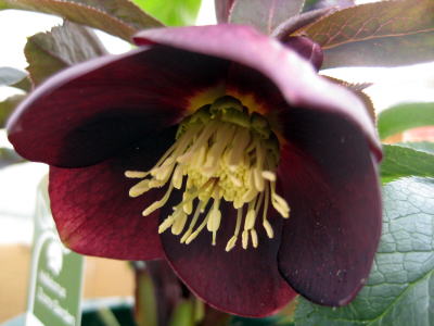 c0147952_19293013.jpg