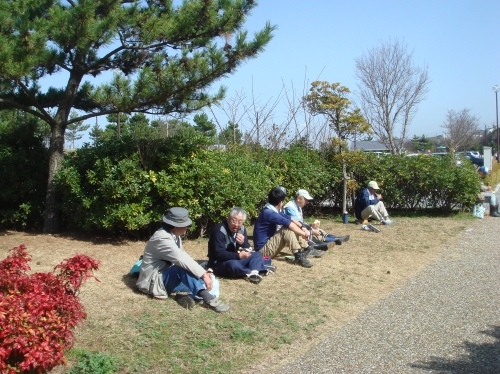 うみべの森を育てる会の定例活動日：根笹刈り他_c0108460_17365414.jpg